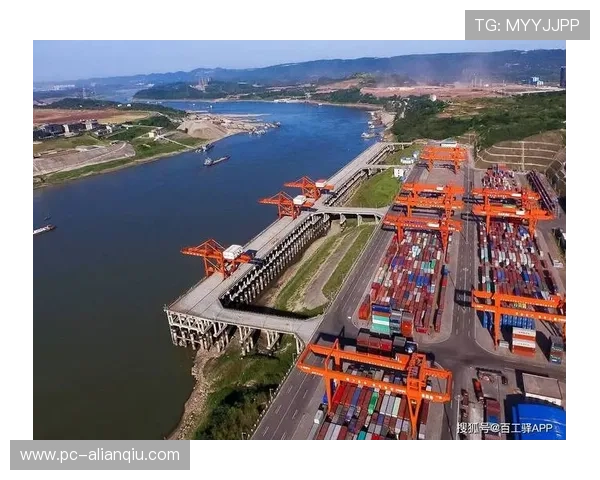 天马国际：创新驱动下的国际物流解决方案，助力企业全球布局