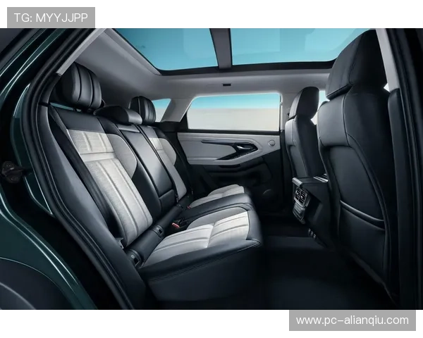 捷豹娱乐城：多元化游戏体验满足不同玩家需求，打造属于你的专属娱乐空间