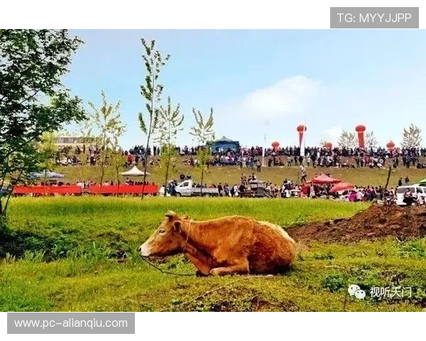 多宝真人来自哪个省份,他的家乡信息全方位披露 多宝真人来自哪个省份,他的家乡信息全方位披露